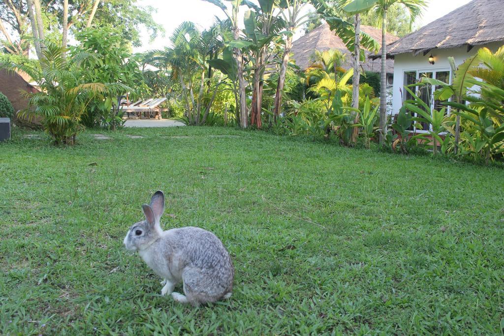 Blue Sea Boutique Hotel Sihanoukville Exterior foto